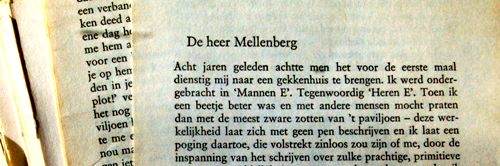 De heer Mellenberg